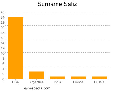 Familiennamen Saliz