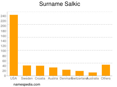 Familiennamen Salkic