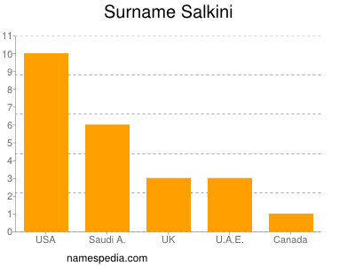 Familiennamen Salkini