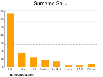 Familiennamen Sallu