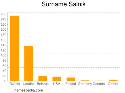 Familiennamen Salnik