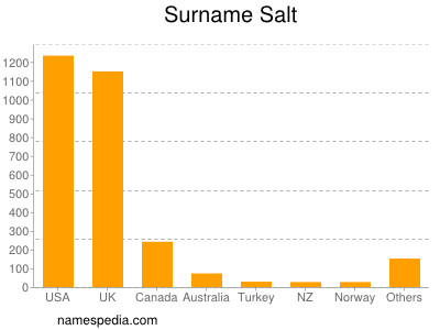 Familiennamen Salt
