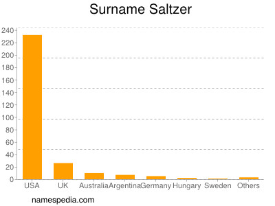 Familiennamen Saltzer