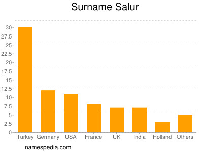 Surname Salur