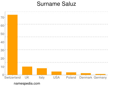 Familiennamen Saluz