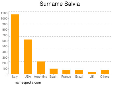 Familiennamen Salvia