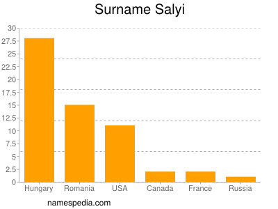 Familiennamen Salyi