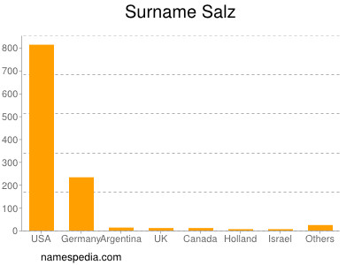 Familiennamen Salz