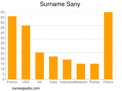 Familiennamen Sany