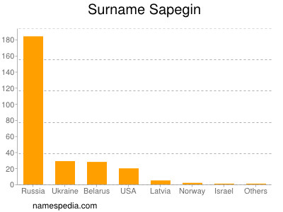 Familiennamen Sapegin