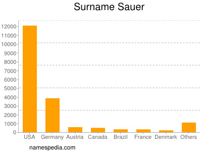 Familiennamen Sauer