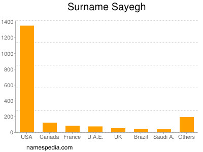 Familiennamen Sayegh