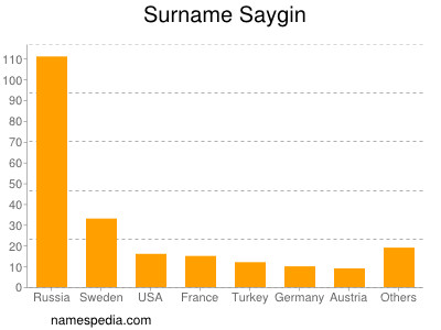 Familiennamen Saygin