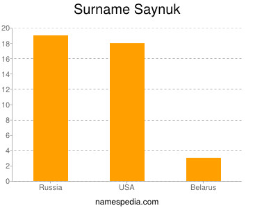 Familiennamen Saynuk