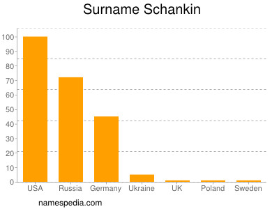 Familiennamen Schankin