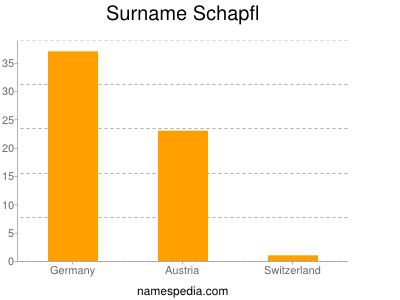 Familiennamen Schapfl