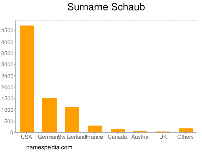 Familiennamen Schaub