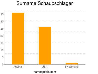 Familiennamen Schaubschlager