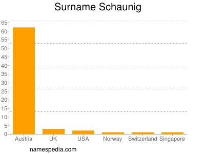 Familiennamen Schaunig