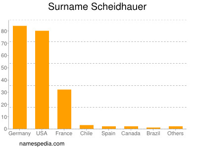 Familiennamen Scheidhauer