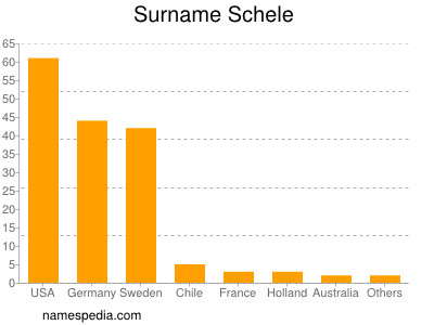 Surname Schele