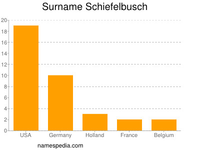 Familiennamen Schiefelbusch