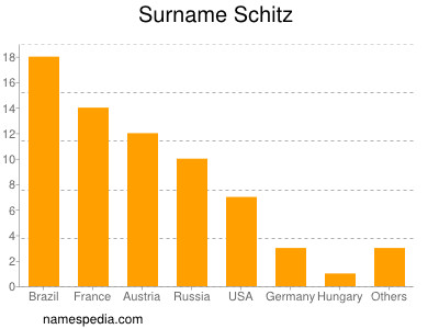 Familiennamen Schitz