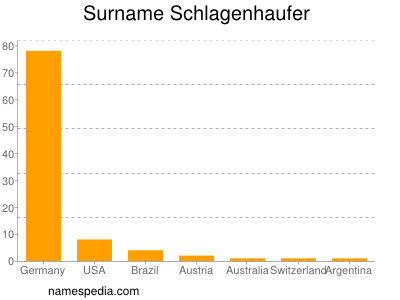 Familiennamen Schlagenhaufer