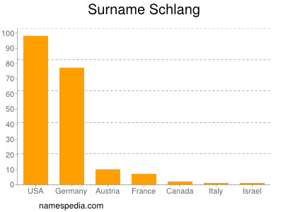 Familiennamen Schlang