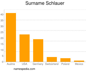 Familiennamen Schlauer