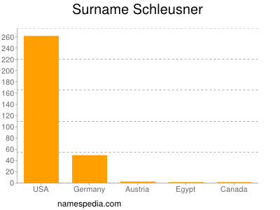 Surname Schleusner