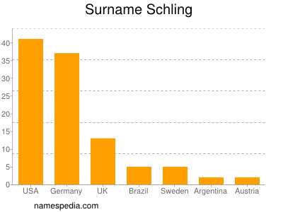 Surname Schling