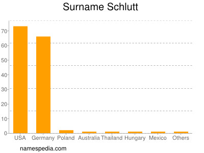 Familiennamen Schlutt