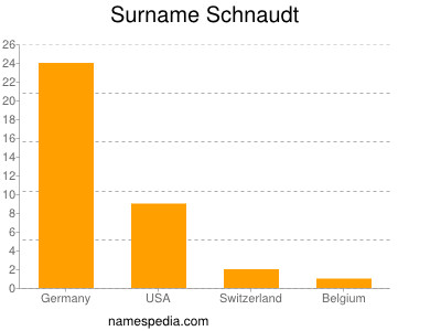 Familiennamen Schnaudt
