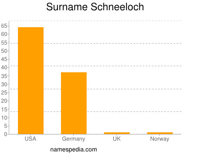 Familiennamen Schneeloch