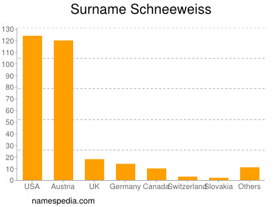 Familiennamen Schneeweiss