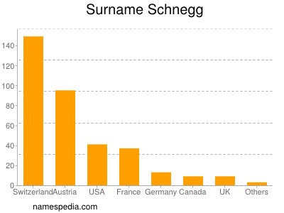 Surname Schnegg