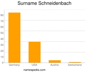 Familiennamen Schneidenbach