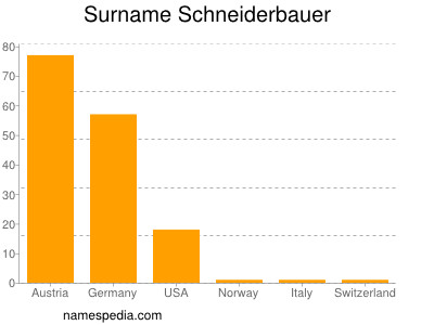 Familiennamen Schneiderbauer