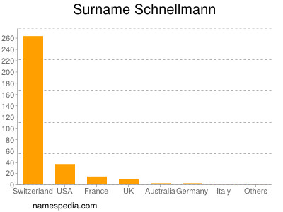 Familiennamen Schnellmann