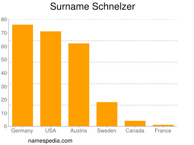 Familiennamen Schnelzer