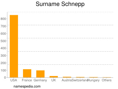 Familiennamen Schnepp