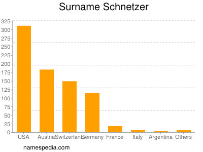 Surname Schnetzer