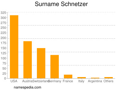 Familiennamen Schnetzer