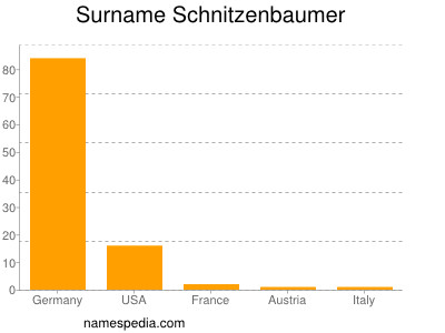 Familiennamen Schnitzenbaumer