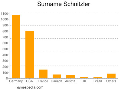 Familiennamen Schnitzler