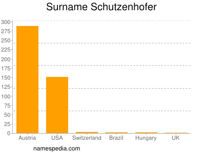 Familiennamen Schutzenhofer