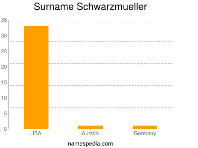 Surname Schwarzmueller