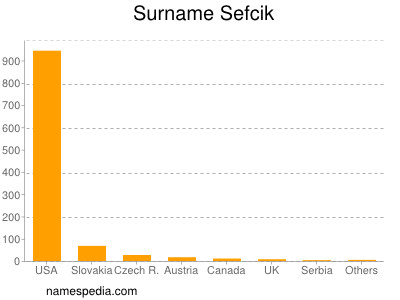 Surname Sefcik