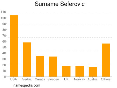 Familiennamen Seferovic